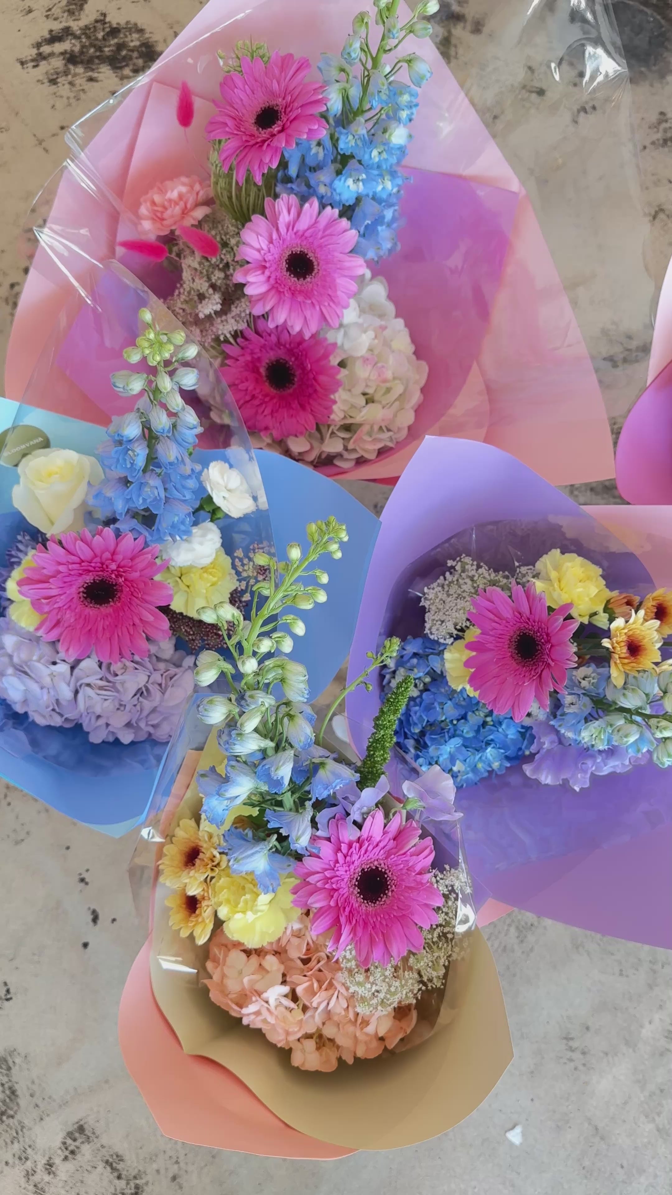 Whimsy Daydream